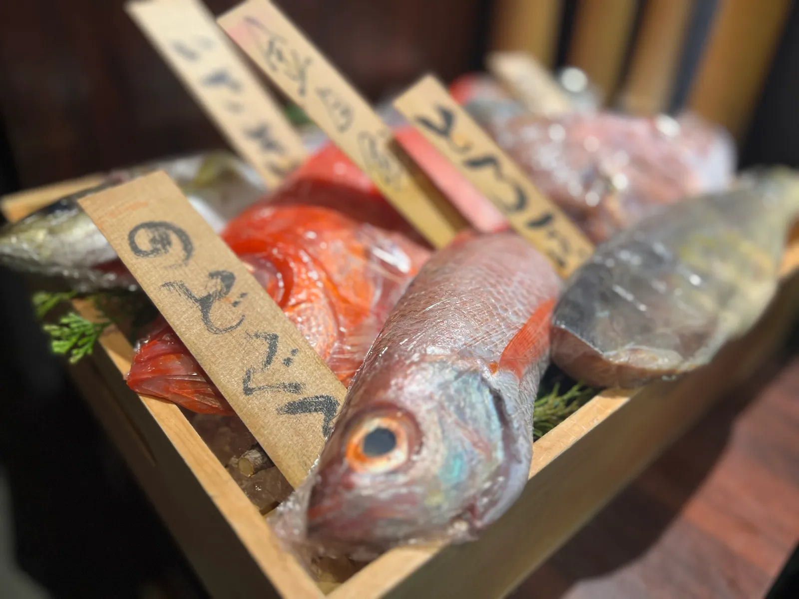 海鮮居酒屋 磯一 旬魚菜 江坂店の画像1