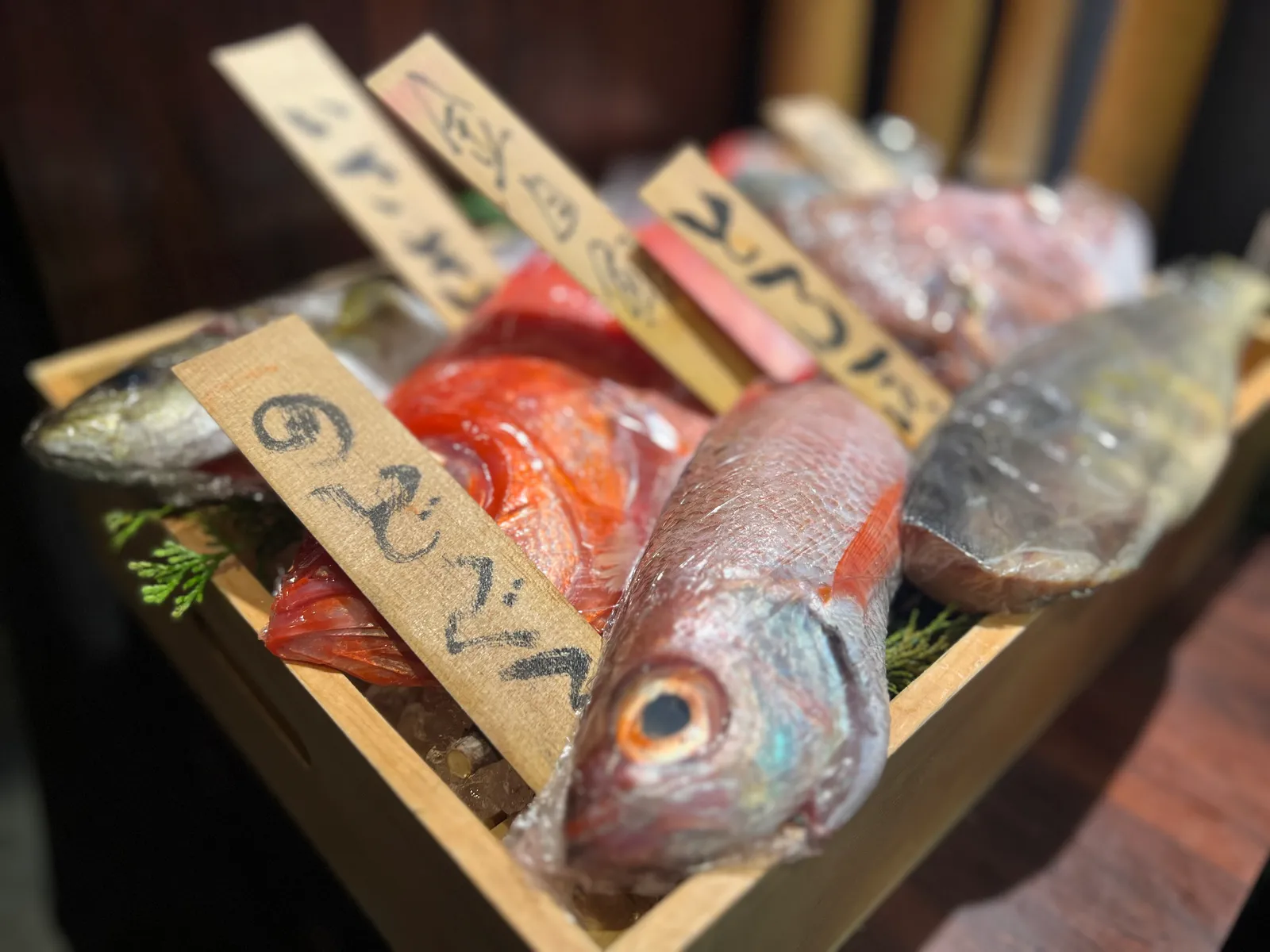 海鮮居酒屋 磯一 旬魚菜 江坂店の画像1